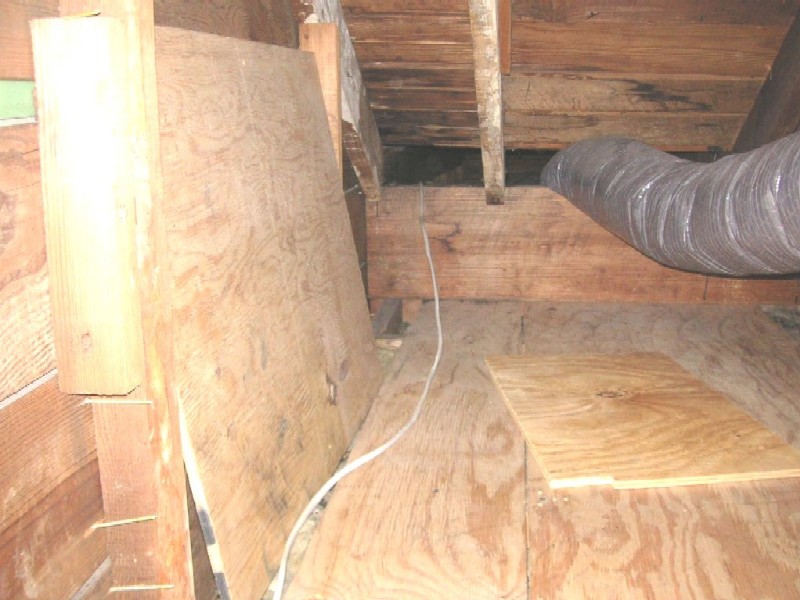 Image 12 of 16  -  107 kB