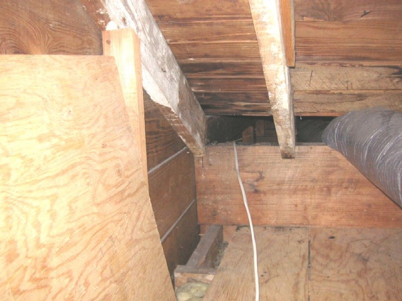 Image 13 of 16  -  110 kB