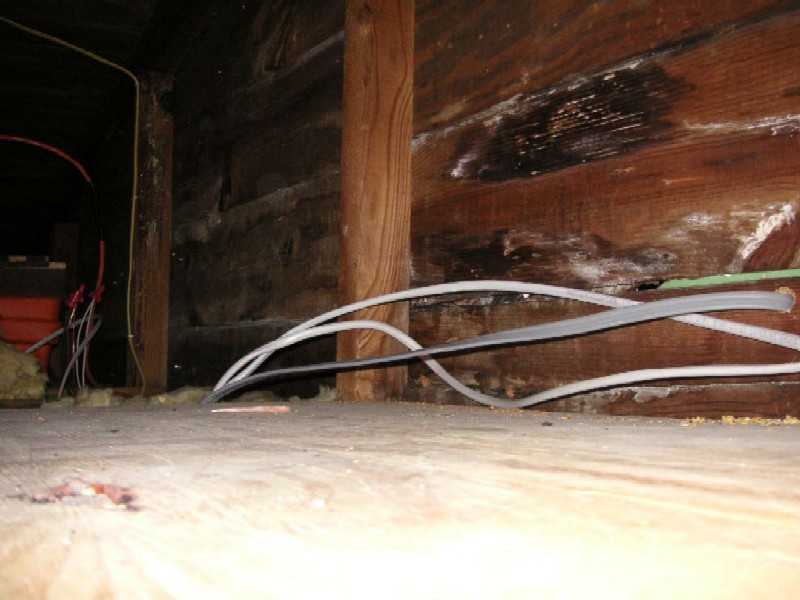 Image 15 of 16  -  97 kB