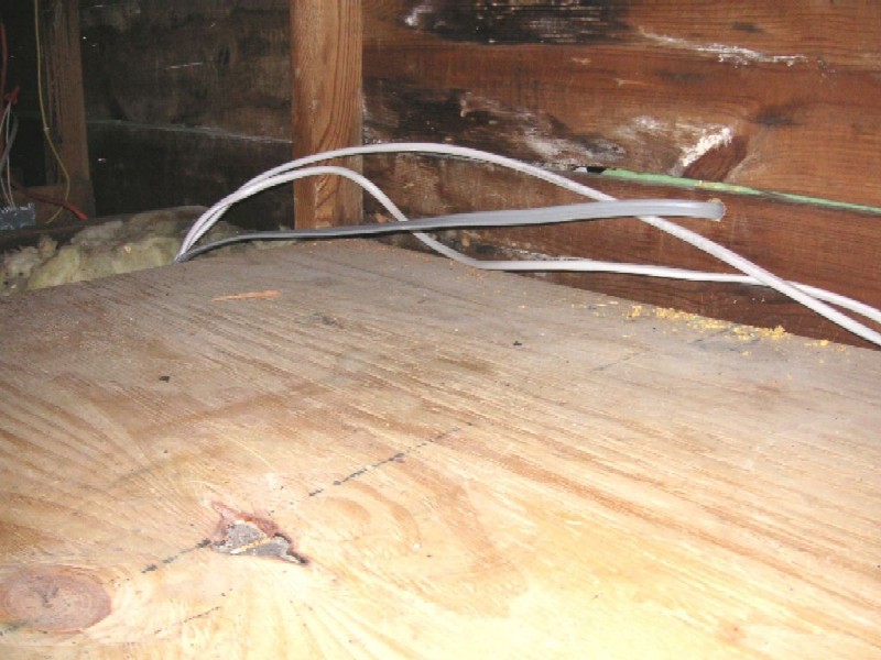 Image 16 of 16  -  113 kB